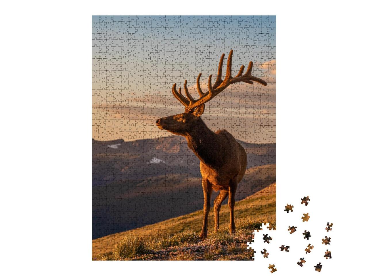 Puzzle 1000 Teile „Wilde Elche“