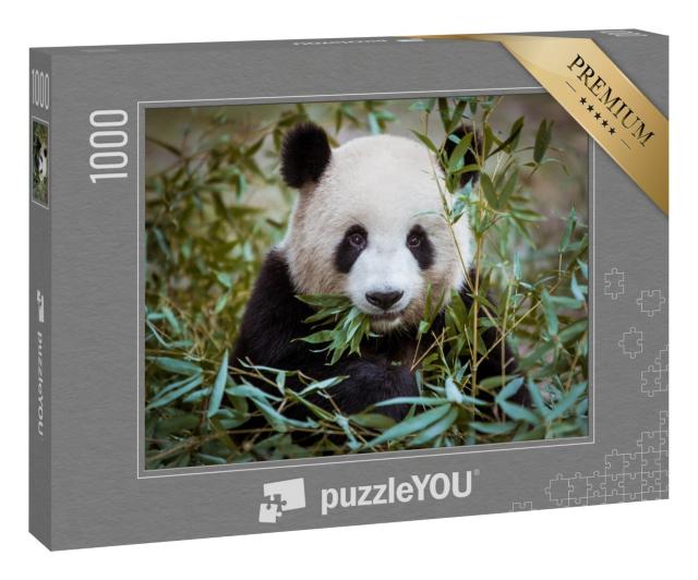 Puzzle 1000 Teile „Riesenpanda, den Mund voller Bambus“