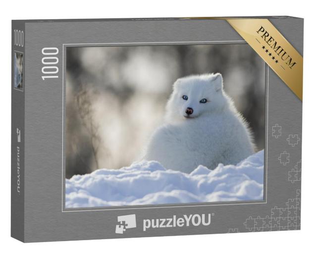 Puzzel 1000 stukjes „Poolvos met doordringende blauwe ogen“