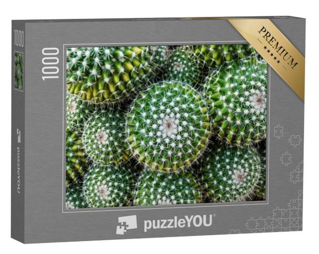 Puzzel 1000 stukjes „Close-up van de gouden toncactus uit Centraal-Mexico“