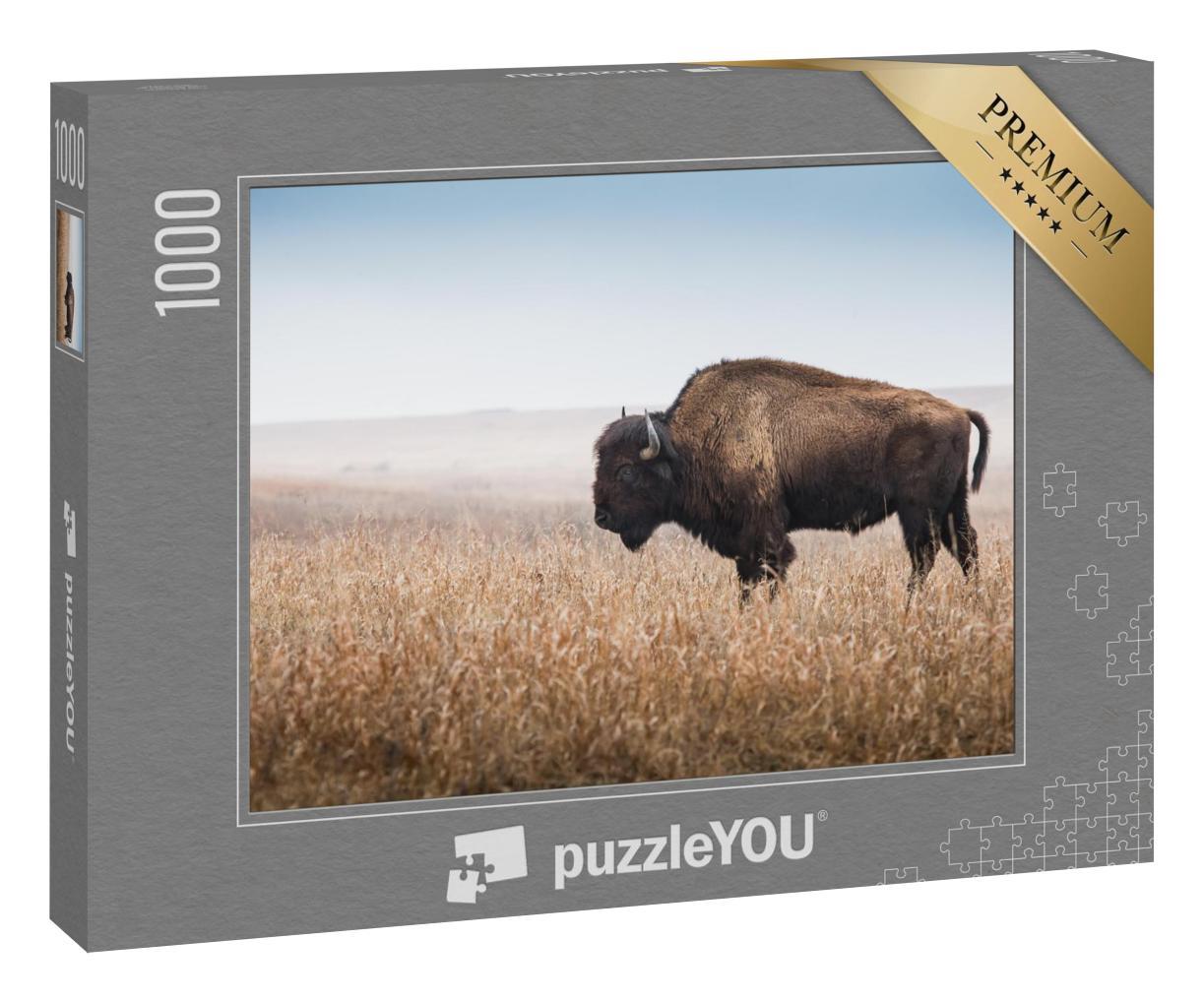 Puzzle 1000 Teile „Amerikanischer Bison, Büffel, Profil“
