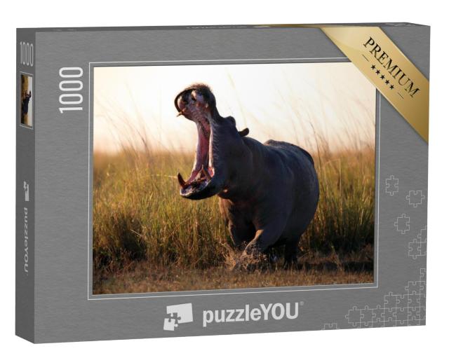 Puzzel 1000 stukjes „Het nijlpaard, Hippopotamus amphibius“