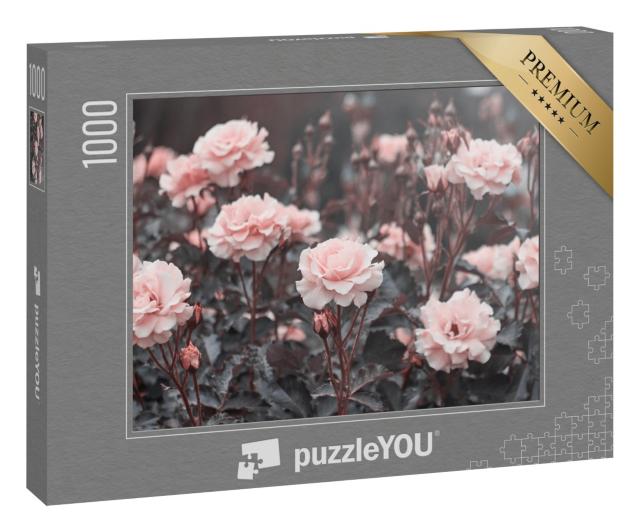 Puzzle 1000 Teile „Zarte rosa Rosen im Garten“