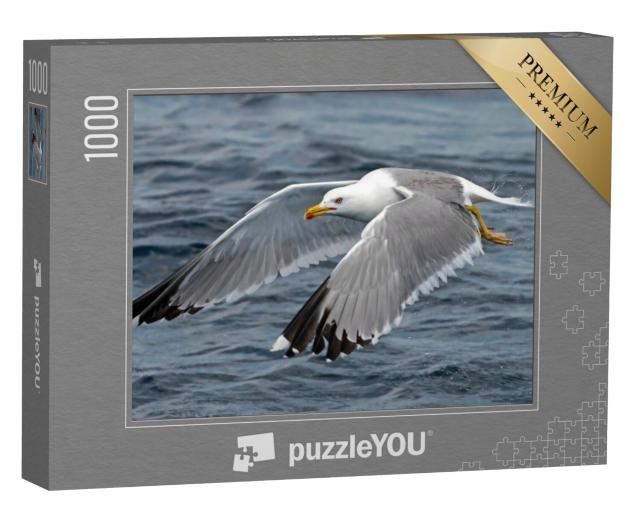 Puzzel 1000 stukjes „Een meeuw tijdens de vlucht“