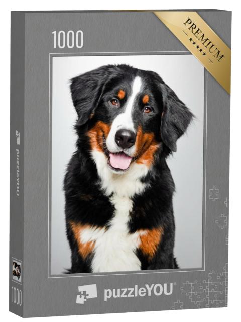 Puzzel 1000 stukjes „Portret van een Berner Sennenhond“