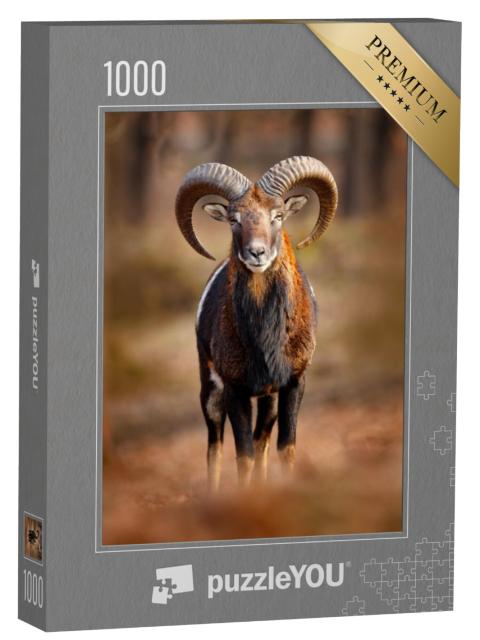 Puzzel 1000 stukjes „Mouflon, zoogdier met grote horens, Praag“