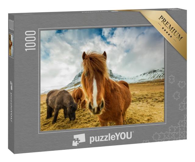 Puzzle 1000 Teile „Pferde in den Bergen von Island“