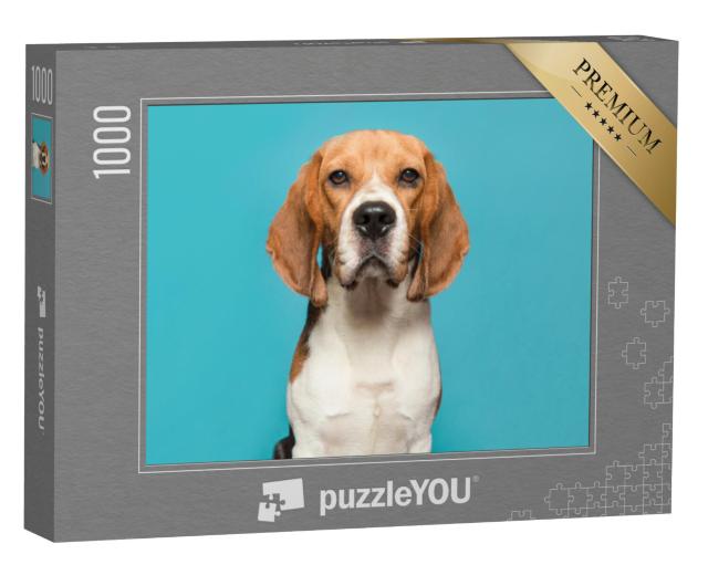 Puzzel 1000 stukjes „Portret van een beagle“