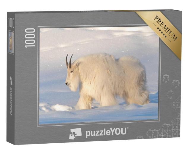 Puzzel 1000 stukjes „Een berggeit in het noorden van Canada“