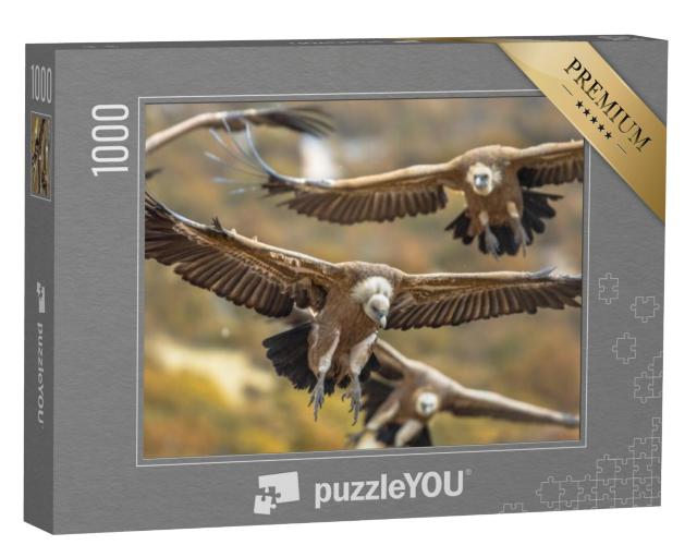 Puzzel 1000 stukjes „Vliegende vale gieren in de Spaanse Pyreneeën“