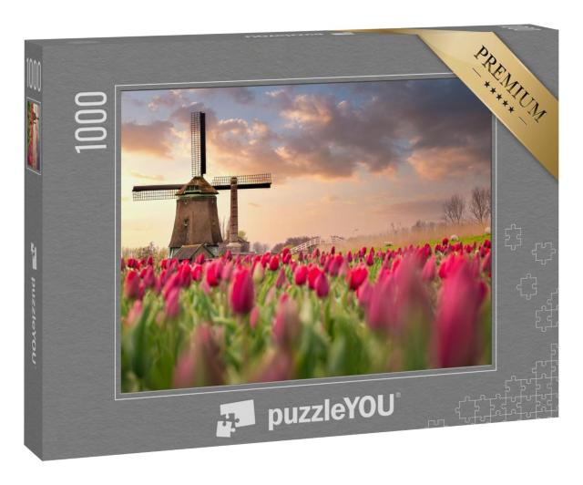 Puzzle 1000 Teile „Tulpenfelder und Windmühlen in den Niederlanden“