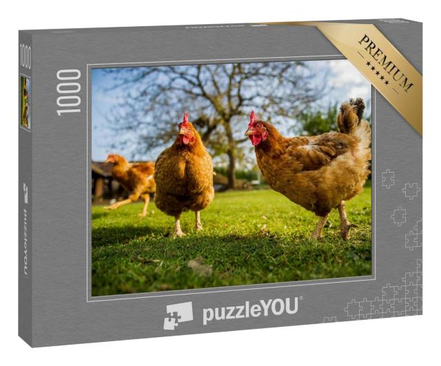 Puzzle 100 Teile „Freilandhühner auf einem traditionellen Geflügelhof“