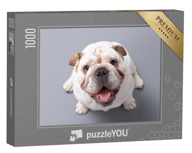 Puzzel 1000 stukjes „Britse Bulldog pup kijkt omhoog“