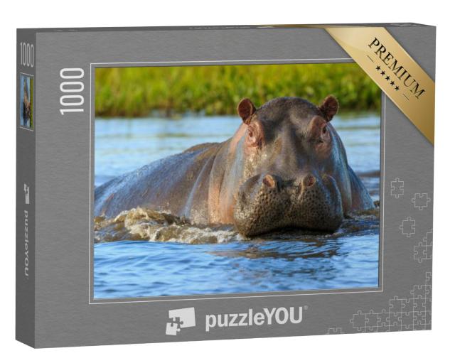 Puzzel 1000 stukjes „Nijlpaarden in het Liwonde Nationaal Park, Malawi“