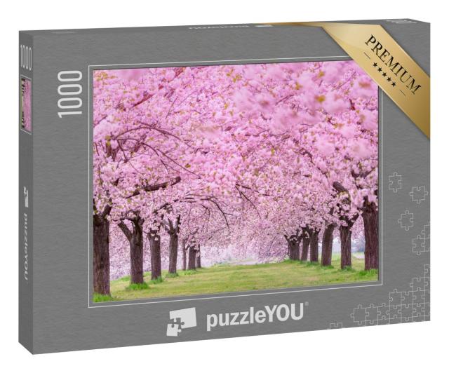 Puzzle „Üppige Kirschblüten, Japan Obuse-machi, Präfektur Nagano“