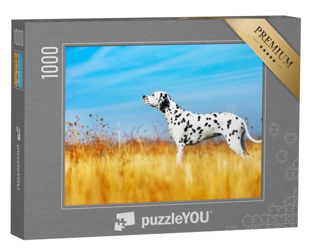 Puzzel 1000 stukjes „Mooie dalmatiër in een veld“