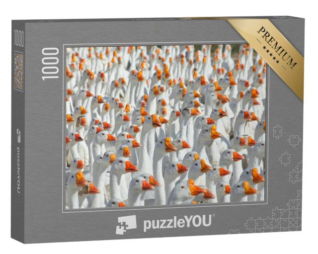 Puzzel 1000 stukjes „Enorme troep witte ganzen“