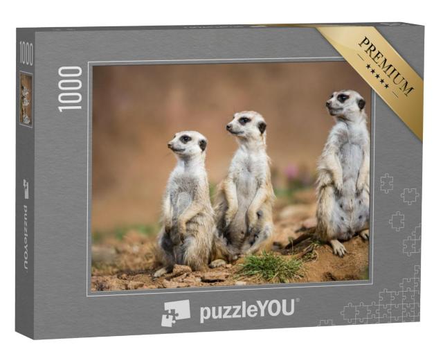 Puzzel 1000 stukjes „Stokstaartjes houden de wacht“