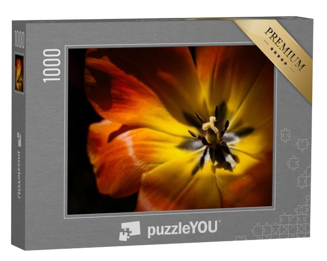 Puzzel 1000 stukjes „Zicht op een oranjekleurige tulp vanaf de zijkant“