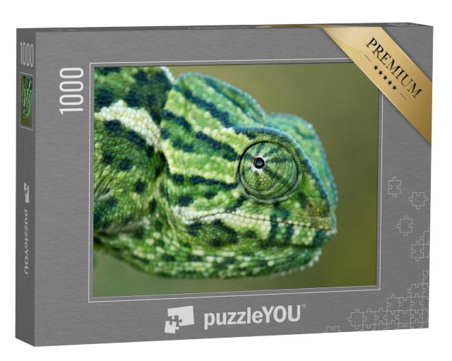 Puzzel 1000 stukjes „Een kameleon“