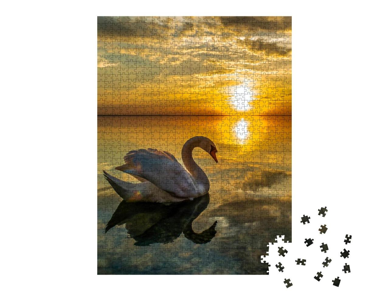 Puzzle 1000 Teile „Weißer Schwan in ruhigem Wasser beim Sonnenuntergang“