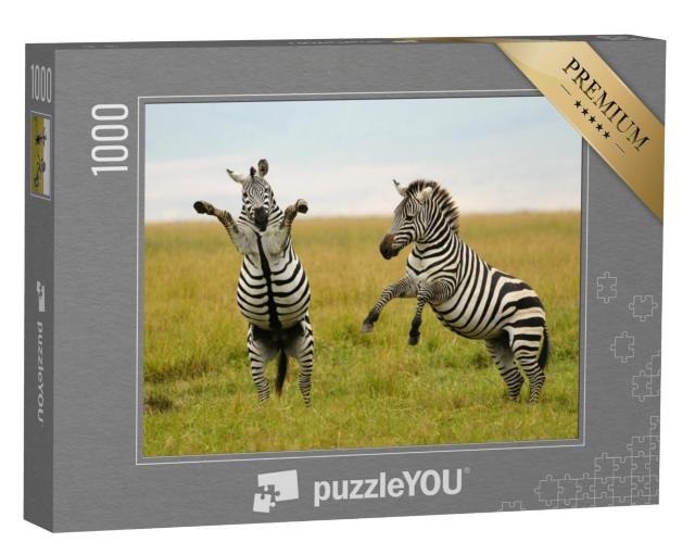 Puzzel 1000 stukjes „Wild of gevecht? Burchell's of vlakte zebra“