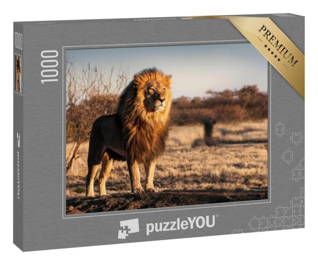 Puzzle 100 Teile „Einzelner Löwe mit königlichem Aussehen“