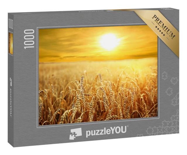 Puzzle 1000 Teile „Goldener Sonnenuntergang über dem goldenen Weizenfeld“