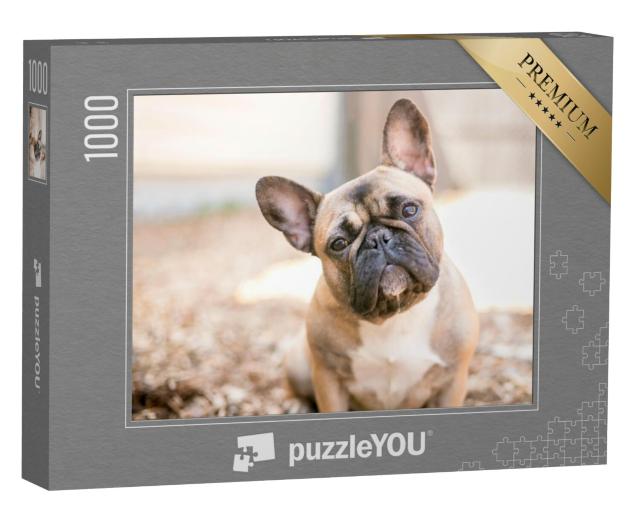 Puzzel 1000 stukjes „Een schattige fawn kleurige Franse Bulldog“