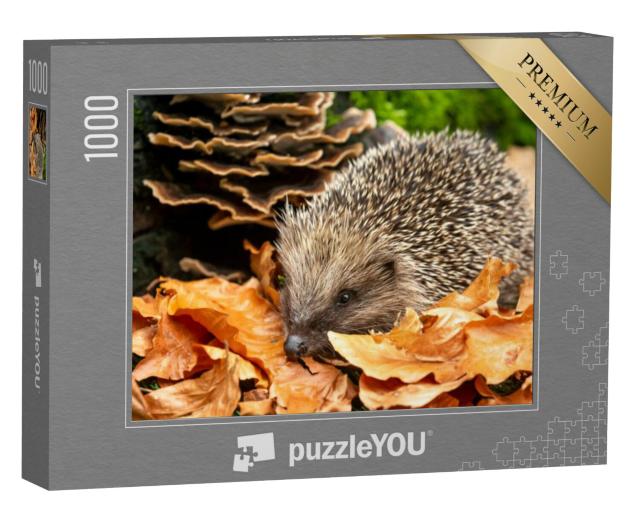 Puzzel 1000 stukjes „Schattige egel in de herfstbladeren“