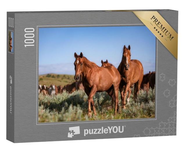 Puzzel 1000 stukjes „Kudde Amerikaanse Quarter Horse Ranch paarden, Montana“