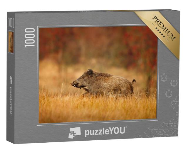 Puzzel 1000 stukjes „Groot everzwijn rennend in een weiland“