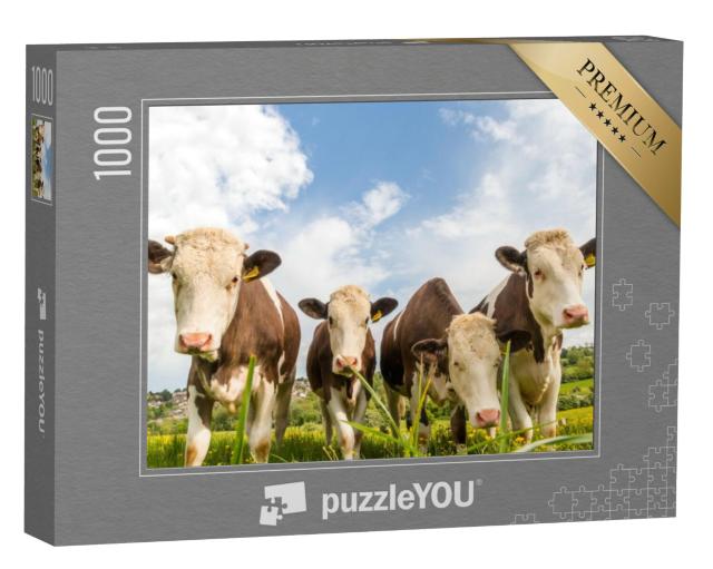 Puzzel 1000 stukjes „Vier jonge koeien in een weiland in Engeland“