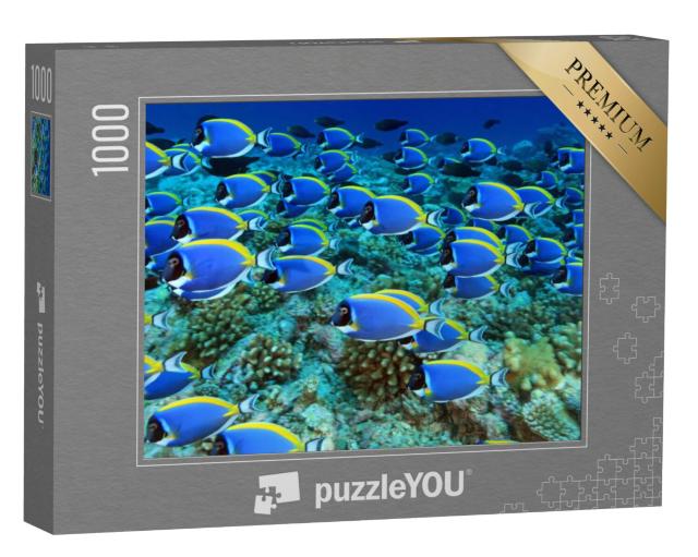 Puzzel 1000 stukjes „Koraalduivels in het koraalrif“