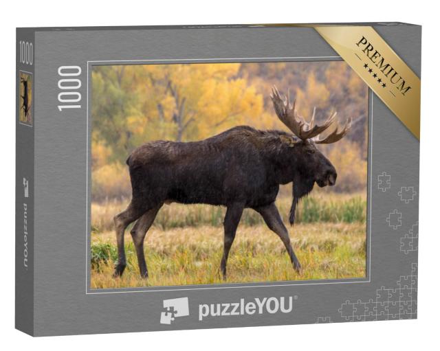 Puzzel 1000 stukjes „Elandstier tijdens een wandeling in de regen“