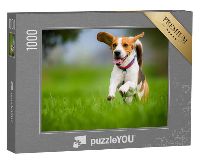 Puzzel 1000 stukjes „Een beagle in de lente“