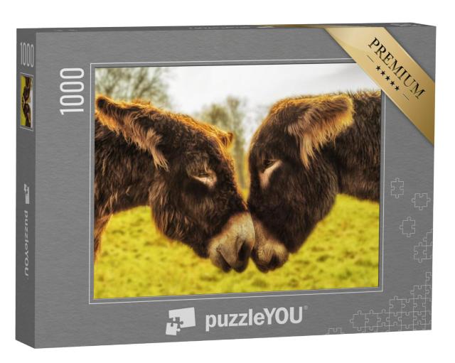 Puzzel 1000 stukjes „Een paar ezels kijken elkaar in de ogen“