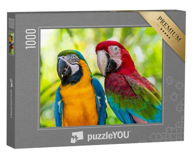 Puzzel 1000 stukjes „Papegaai, Ara“