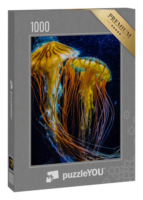 Puzzle 1000 Teile „Wunderschöne, jedoch giftige Quallen“
