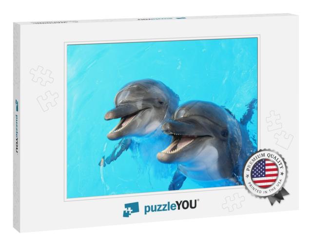 Two Dolphins Swim in the Pool... Jigsaw Puzzle