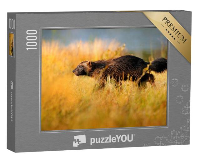 Puzzel 1000 stukjes „Wolverine in de Finse taiga“