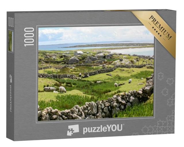 Puzzel 1000 stukjes „Ierse stenen muren aan de kust“