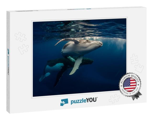 Humpback Whale & Baby... Jigsaw Puzzle