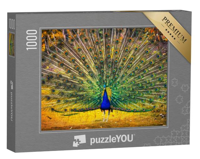 Puzzel 1000 stukjes „Blauwe pauw pronkt met zijn verenkleed“