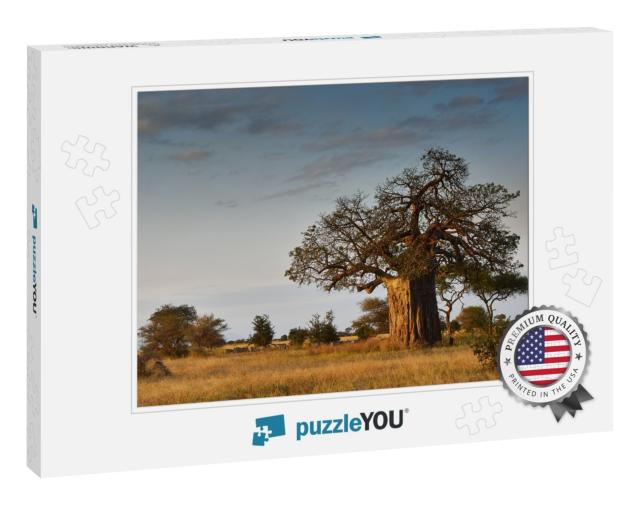 African Landscape with a Big Baobab Tree... Jigsaw Puzzle