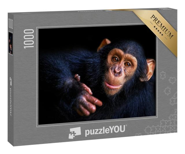 Puzzle 1000 Teile „Schimpanse“