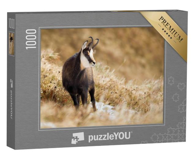 Puzzel 1000 stukjes „Tatra gems op een bergweide“