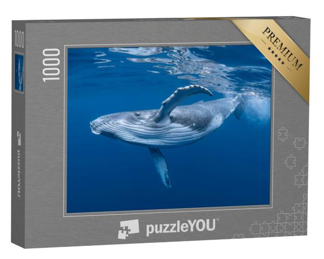 Puzzel 1000 stukjes „Een baby bultrug speelt in het water aan de oppervlakte“