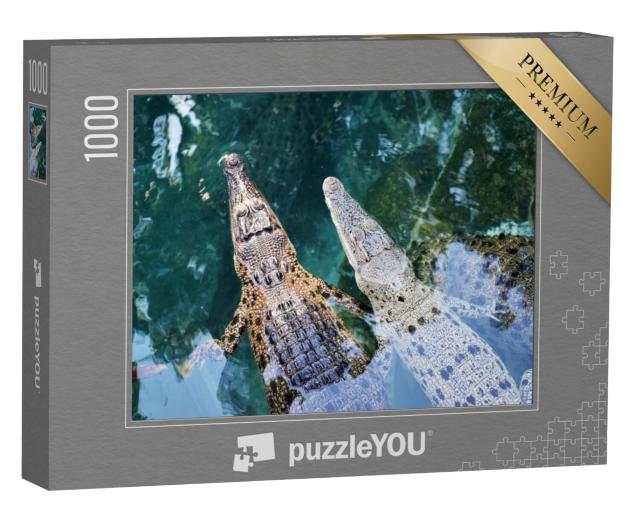 Puzzel 1000 stukjes „Jonge Australische krokodillen in Darwin, Australië“