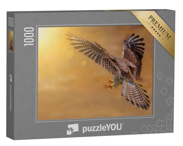 Puzzel 1000 stukjes „Achteraanzicht van een jagende torenvalk“